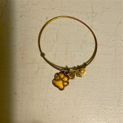 Alex and Ani Paw Print Adjustable Wire Bangle